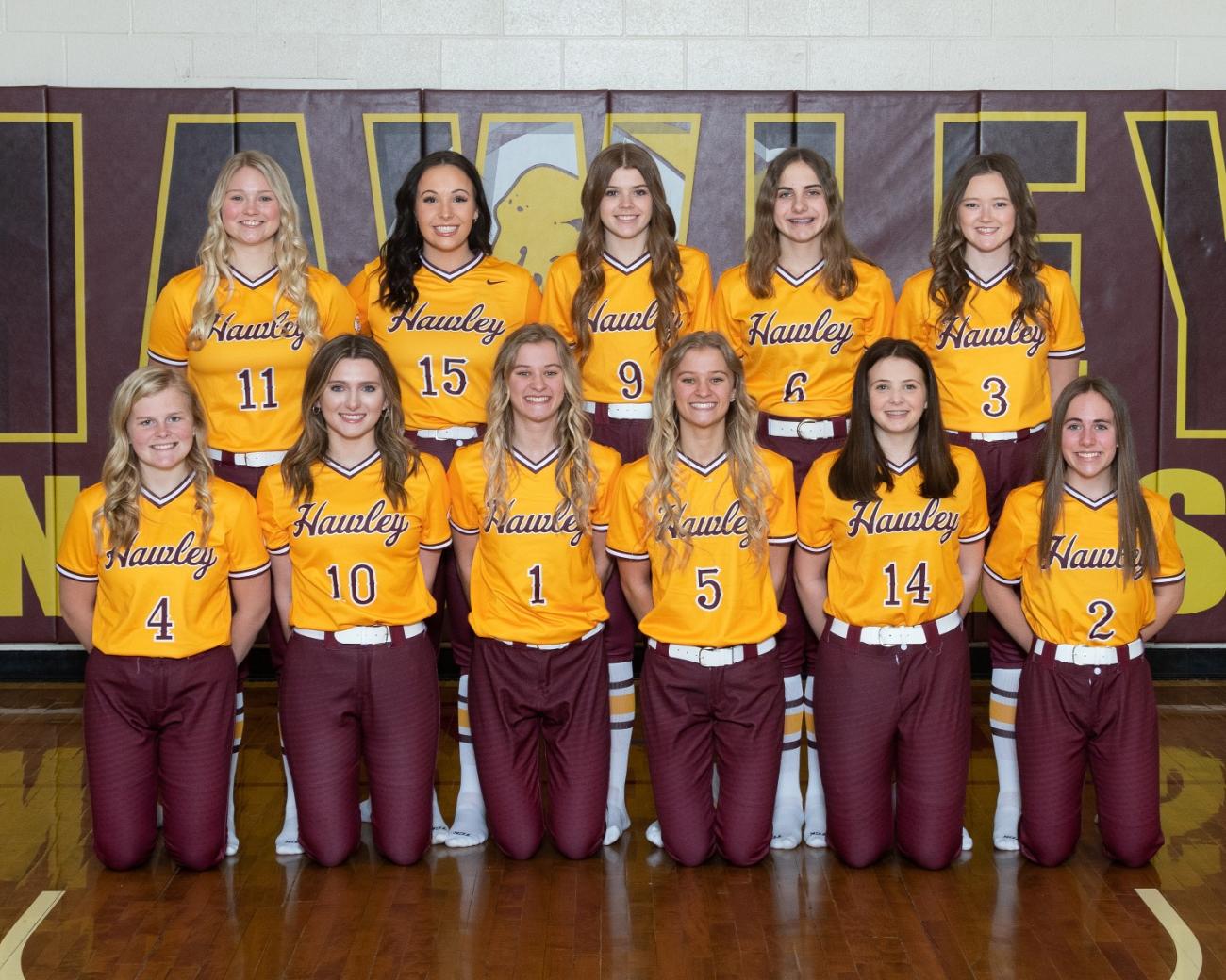 Hawley High School Softball, Girls Teams MSHSL